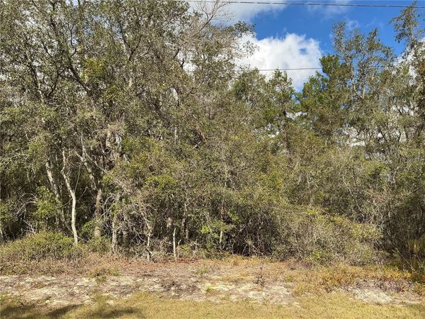 LOT 8 FISHER TRACE , OCKLAWAHA, FL 32179