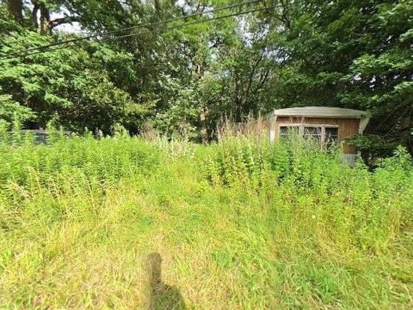 426 Portville Eldred Road , Portville, NY 14770