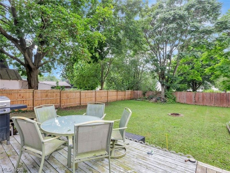 130 Harris Street , Lodi, OH 44254 Photo 38