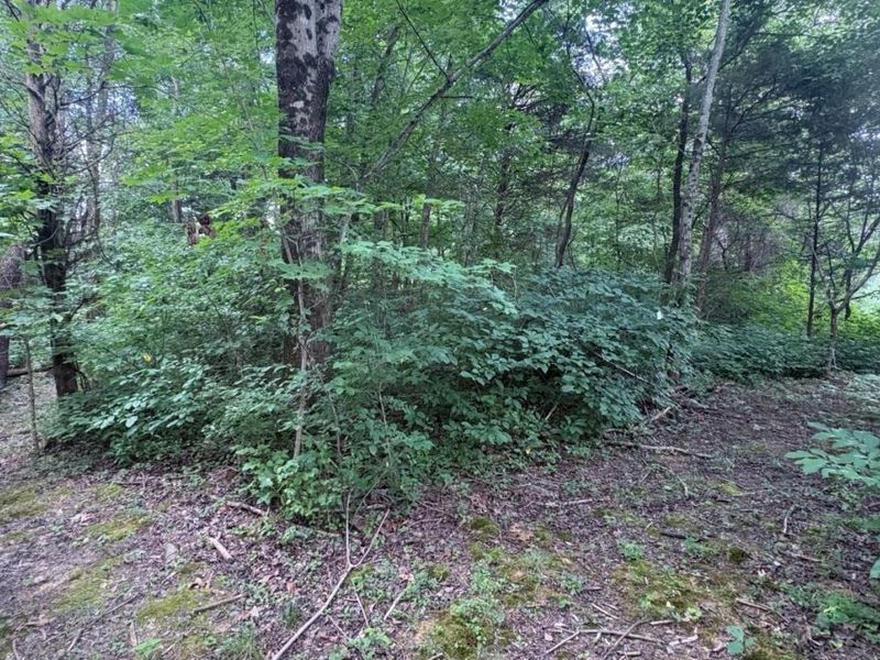 4164 Buck Run Road, Hillsboro, OH 45133 Photo 18