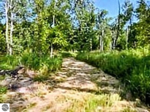 Shenfield Road, Turner, MI 48765