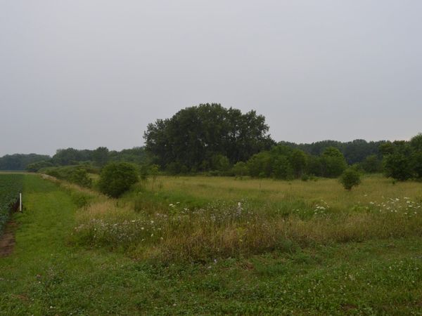 0 County Road 23 , Archbold, OH 43502