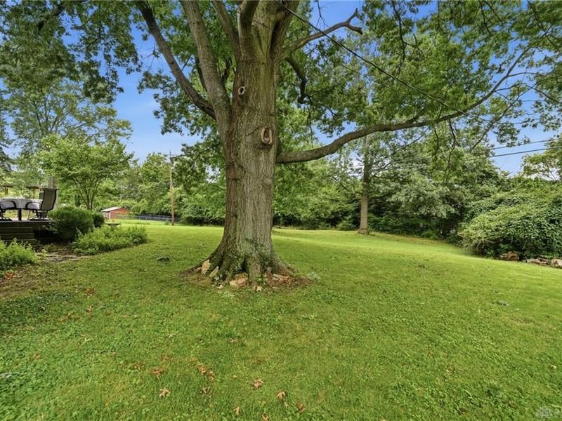 10816 Wengate Lane, Blue Ash, OH 45241 Photo 35