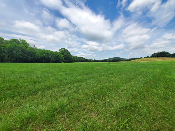 0 Plunkett Creek Rd , Unit 4, Gordonsville, TN 38563