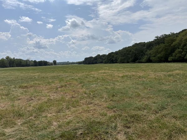 Tract 1 W Farm Road 168 , Republic, MO 65738