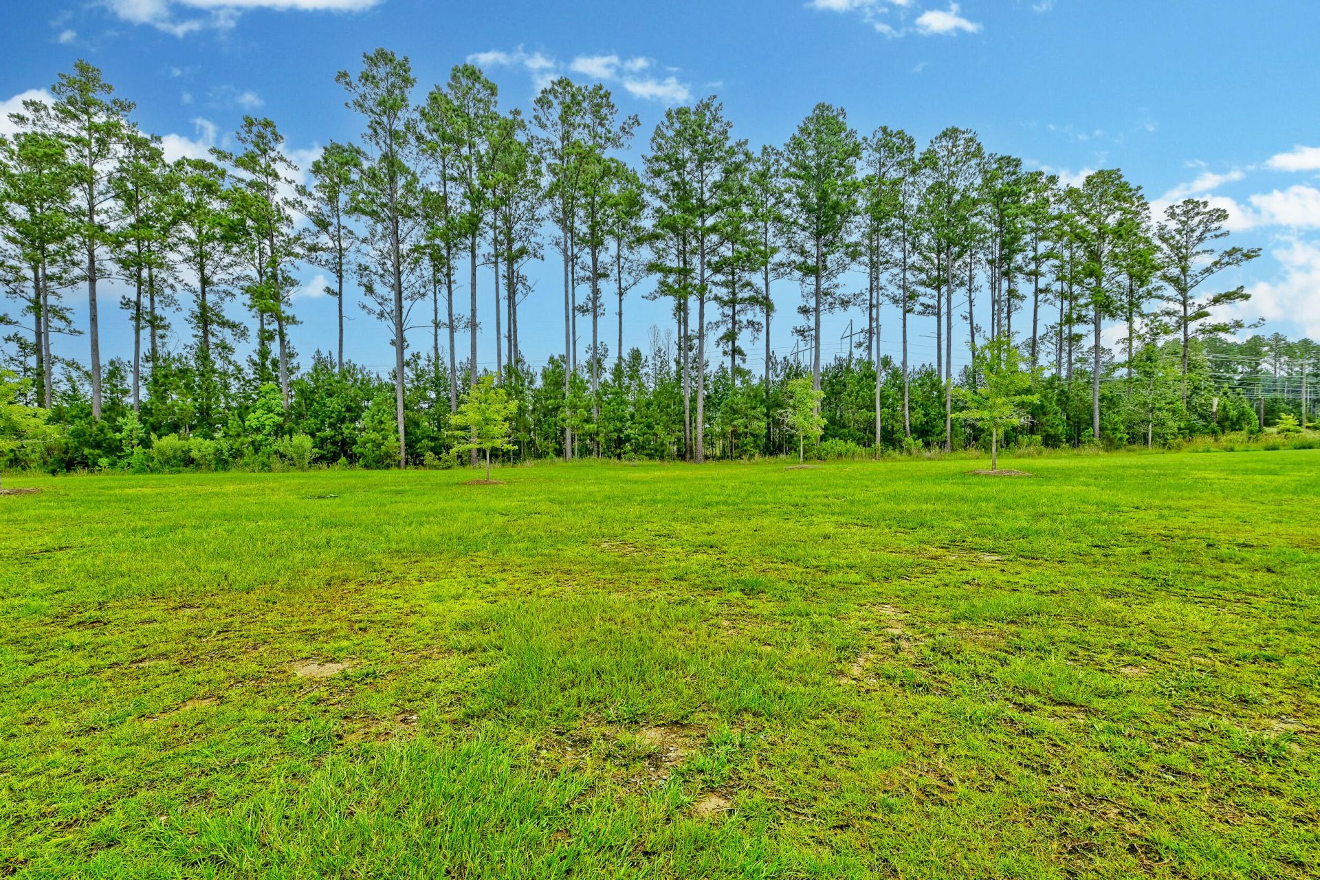 149 Greenbelt Court Photo 46