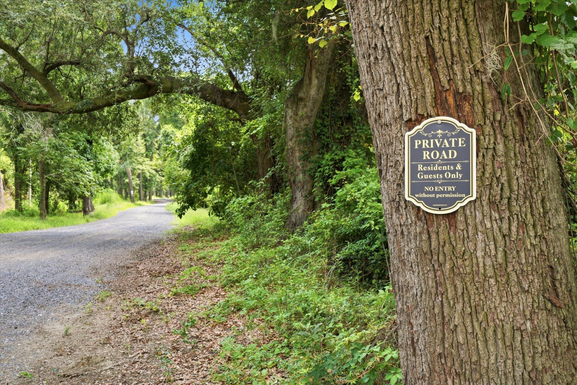 1105 Quiet Road Photo 4