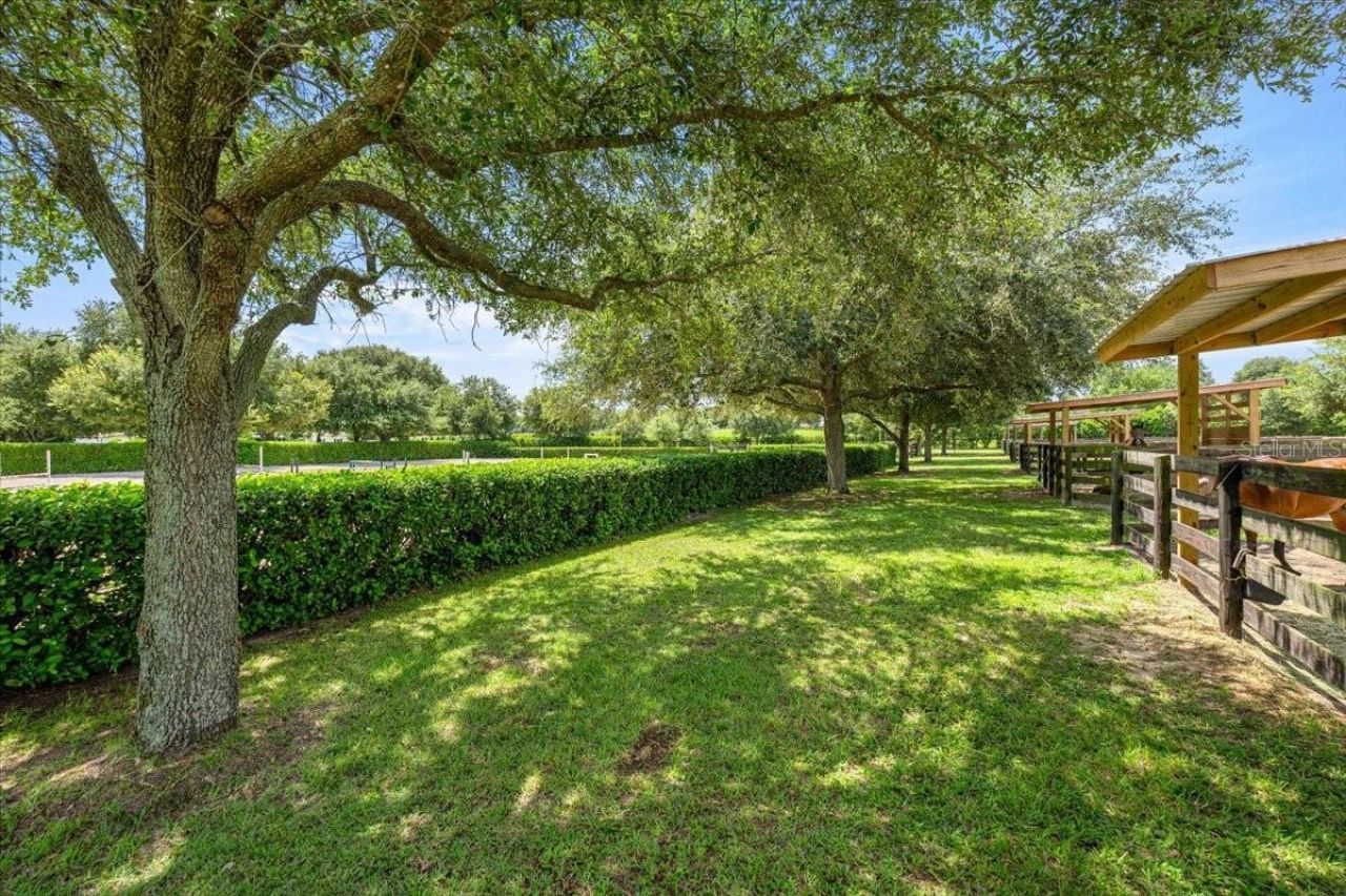 6290 SE 178th Court, Morriston, FL 32668 Photo