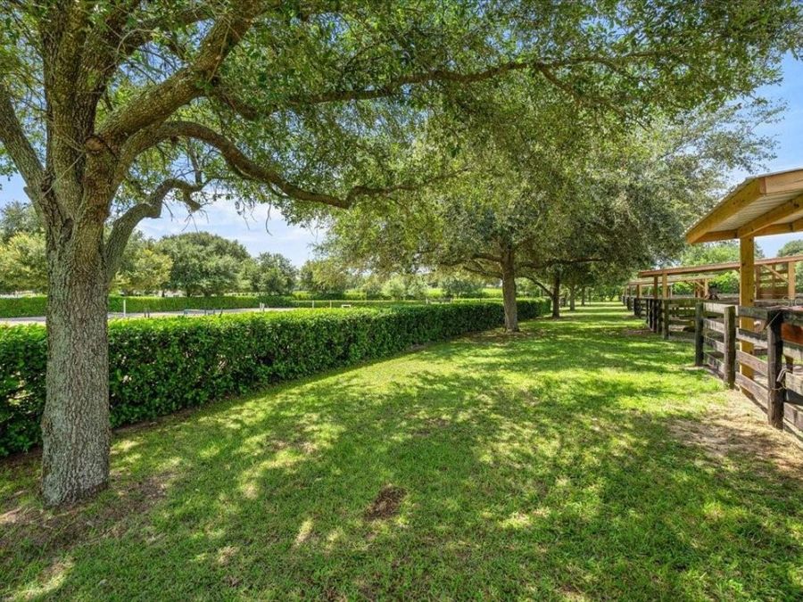 Property Image 87