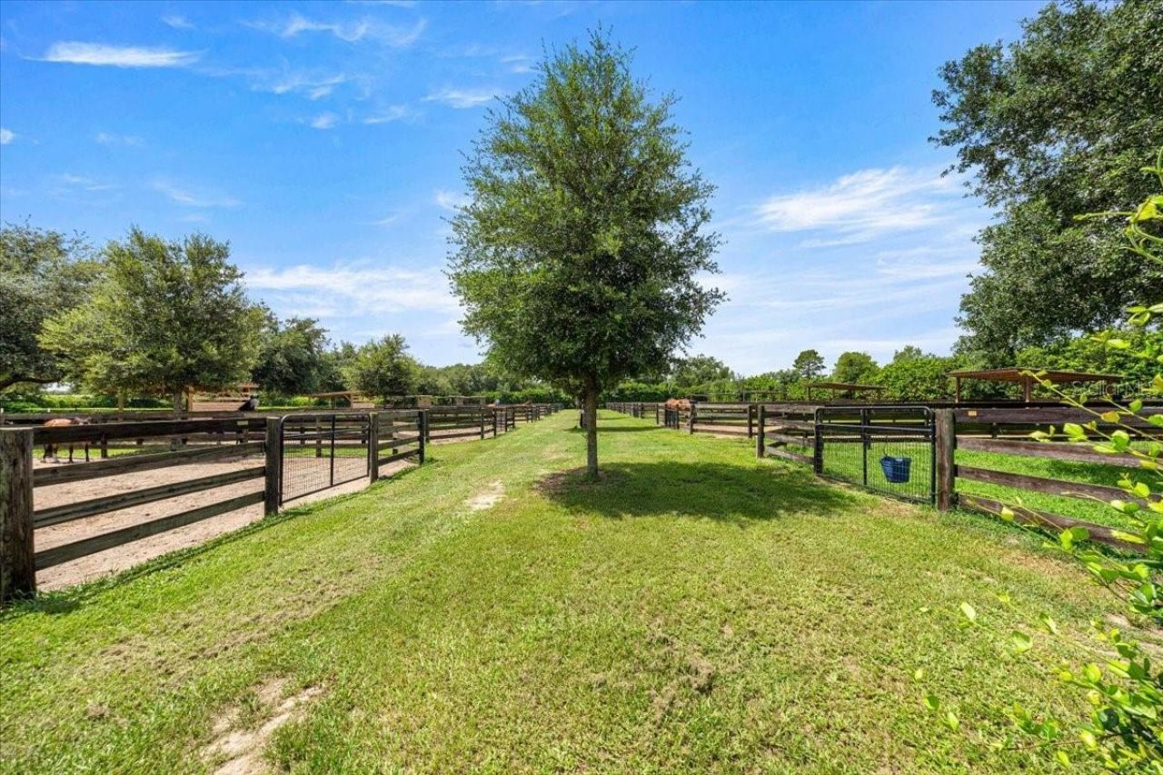 6290 SE 178th Court, Morriston, FL 32668 Photo