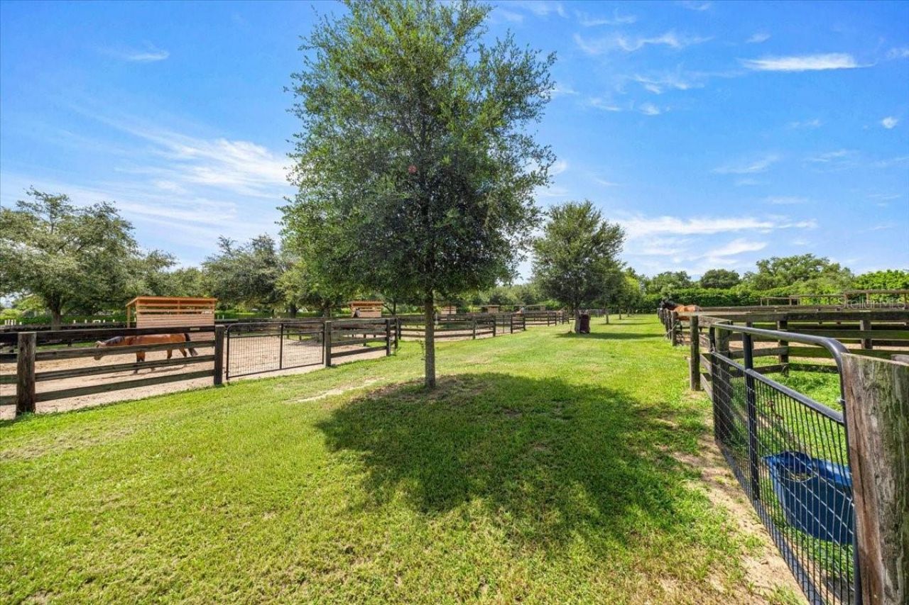 6290 SE 178th Court, Morriston, FL 32668 Photo