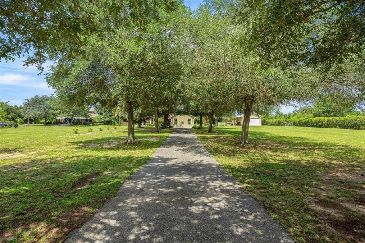 6290 SE 178th Court, Morriston, FL 32668 Photo