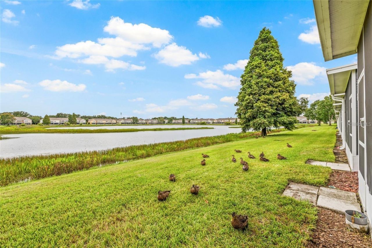 4879 Pond Ridge Drive , Riverview, FL 33578 Photo