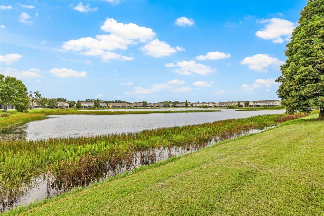 4879 Pond Ridge Drive , Riverview, FL 33578 Photo