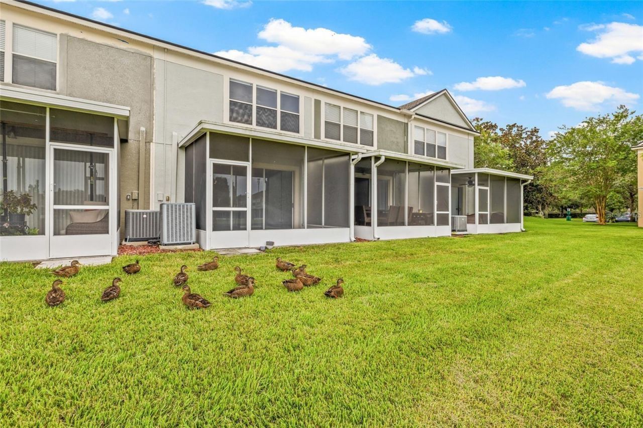 4879 Pond Ridge Drive , Riverview, FL 33578 Photo