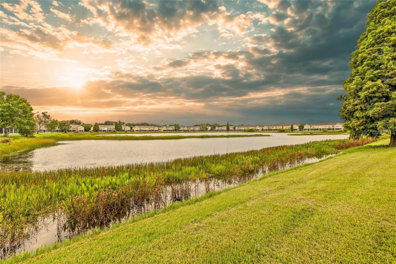 4879 Pond Ridge Drive , Riverview, FL 33578 Photo