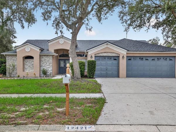 12421 WINDSWEPT AVENUE , RIVERVIEW, FL 33569