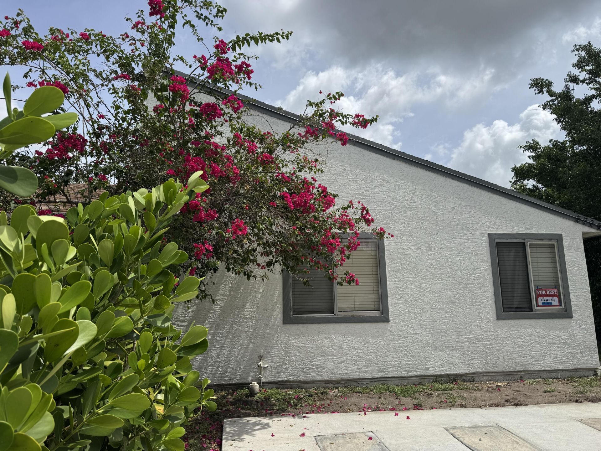 5335 NW 5th Street, Delray Beach, FL 33445 Photo