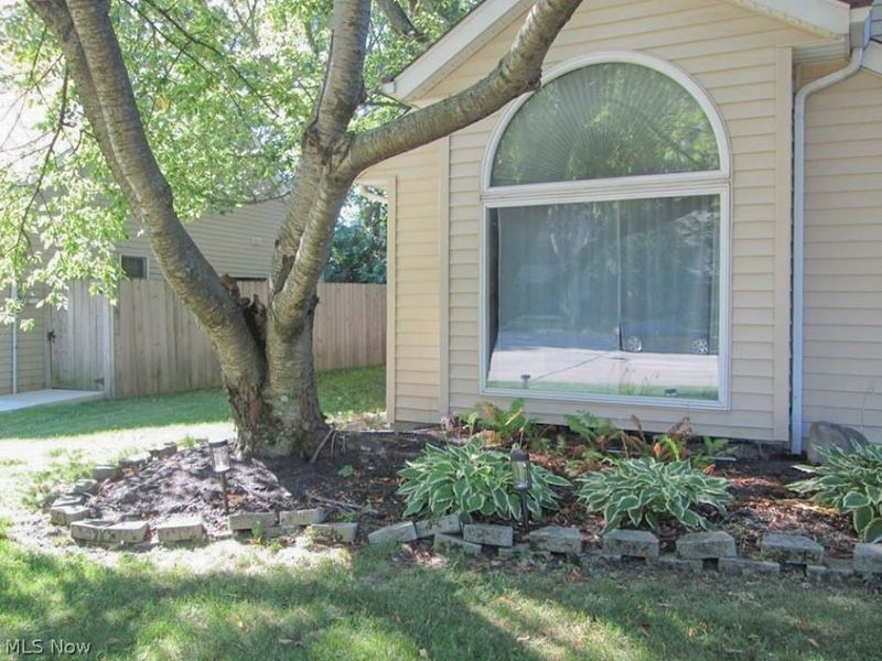 237 Butternut Lane, Berea, OH 44017 Photo 5