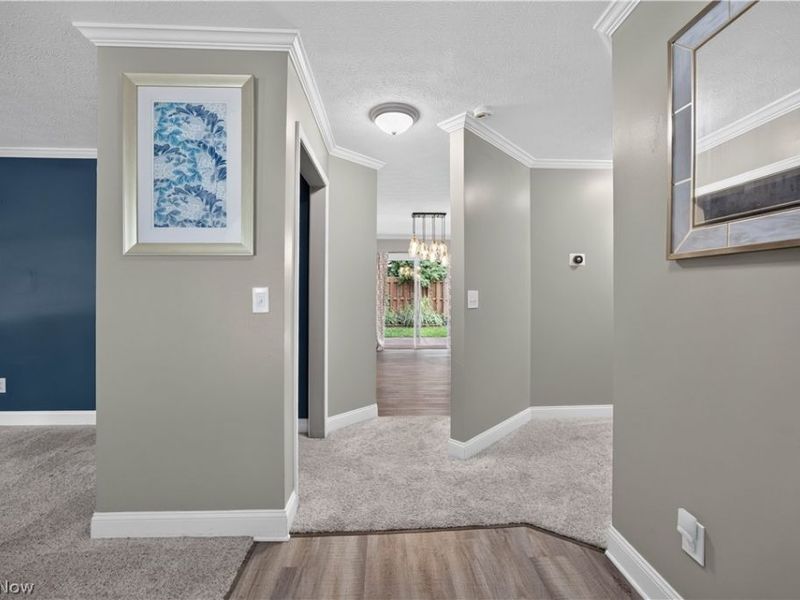237 Butternut Lane, Berea, OH 44017 Photo 8