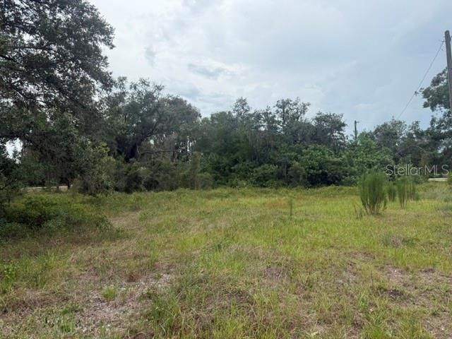 5515 State Road 29 S, Labelle, FL 33935 Photo