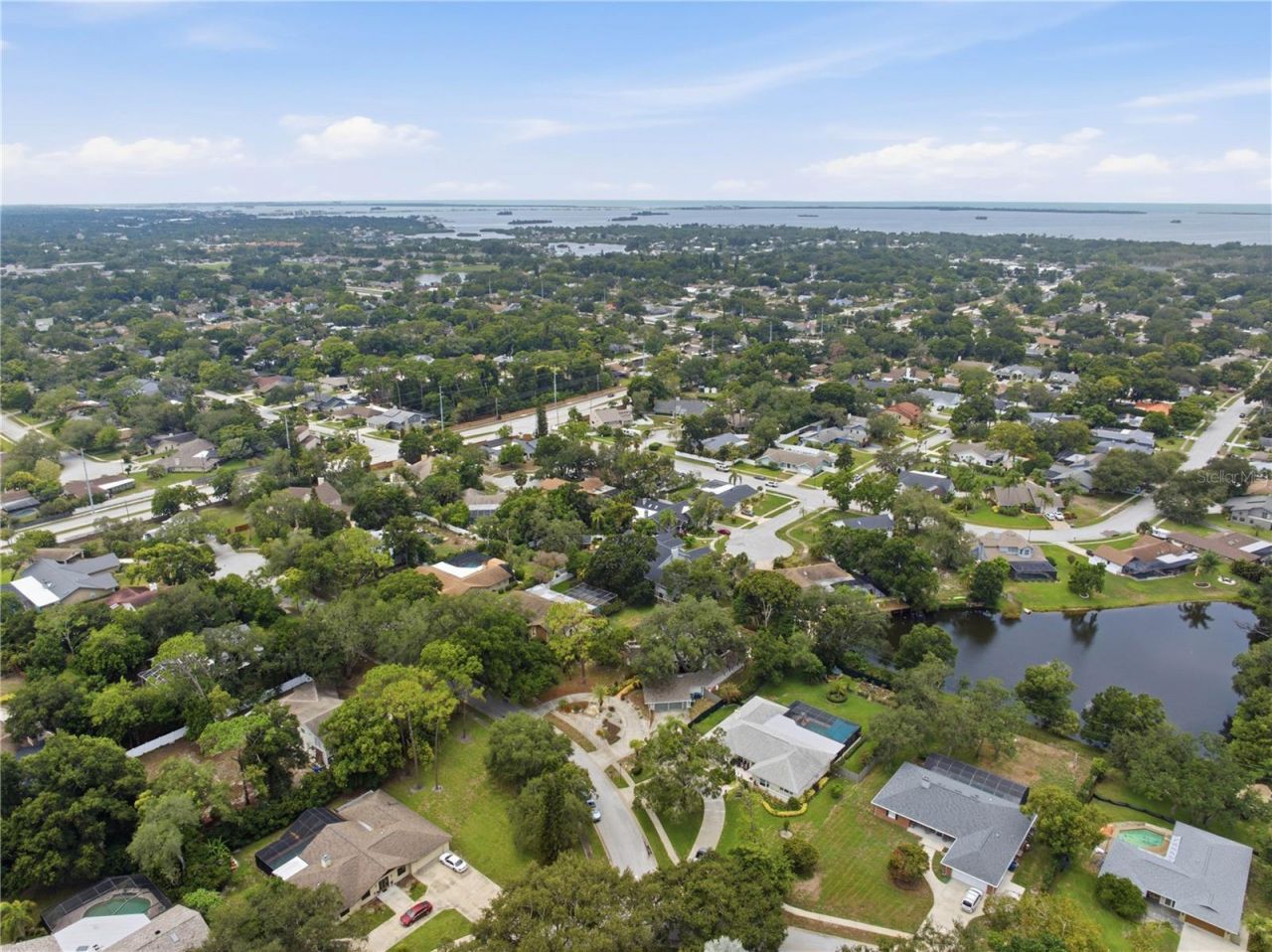 2860 Briarwood Lane, Palm Harbor, FL 34683 Photo