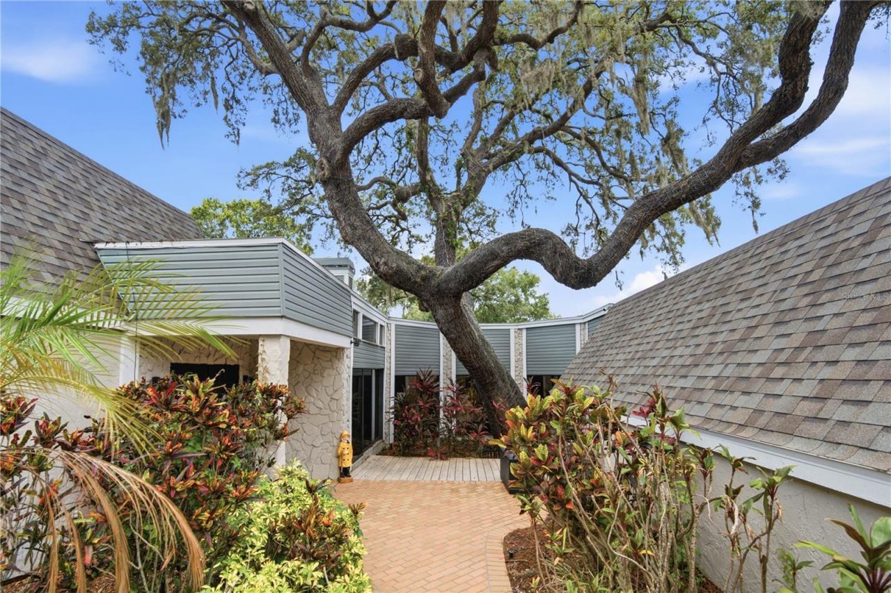 2860 Briarwood Lane, Palm Harbor, FL 34683 Photo