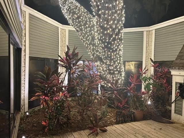 2860 Briarwood Lane, Palm Harbor, FL 34683 Photo