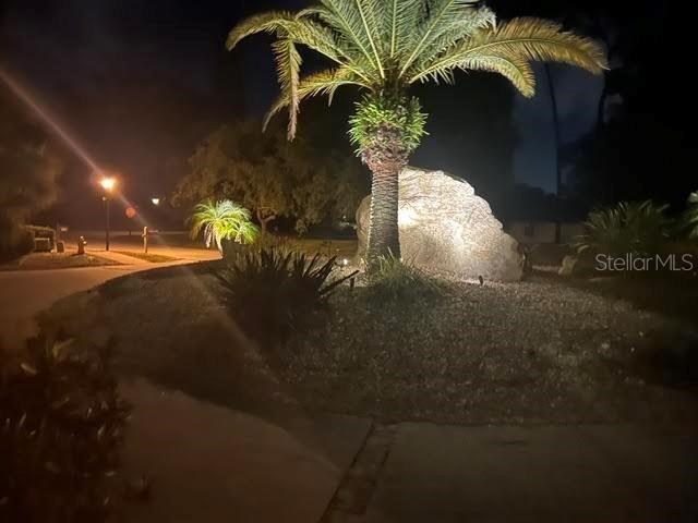 2860 Briarwood Lane, Palm Harbor, FL 34683 Photo