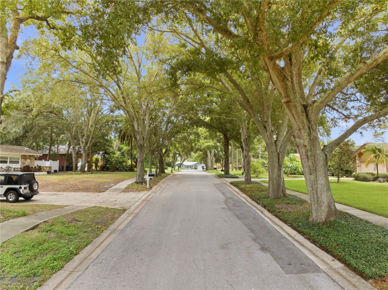 2860 Briarwood Lane, Palm Harbor, FL 34683 Photo