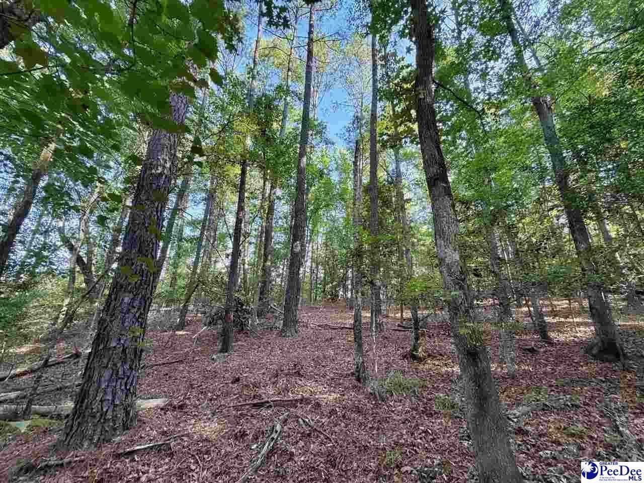 1020 Scotch Road Photo 1