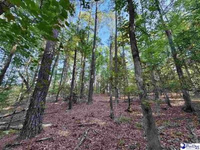 1020 Scotch Road, Chesterfield, SC 29709