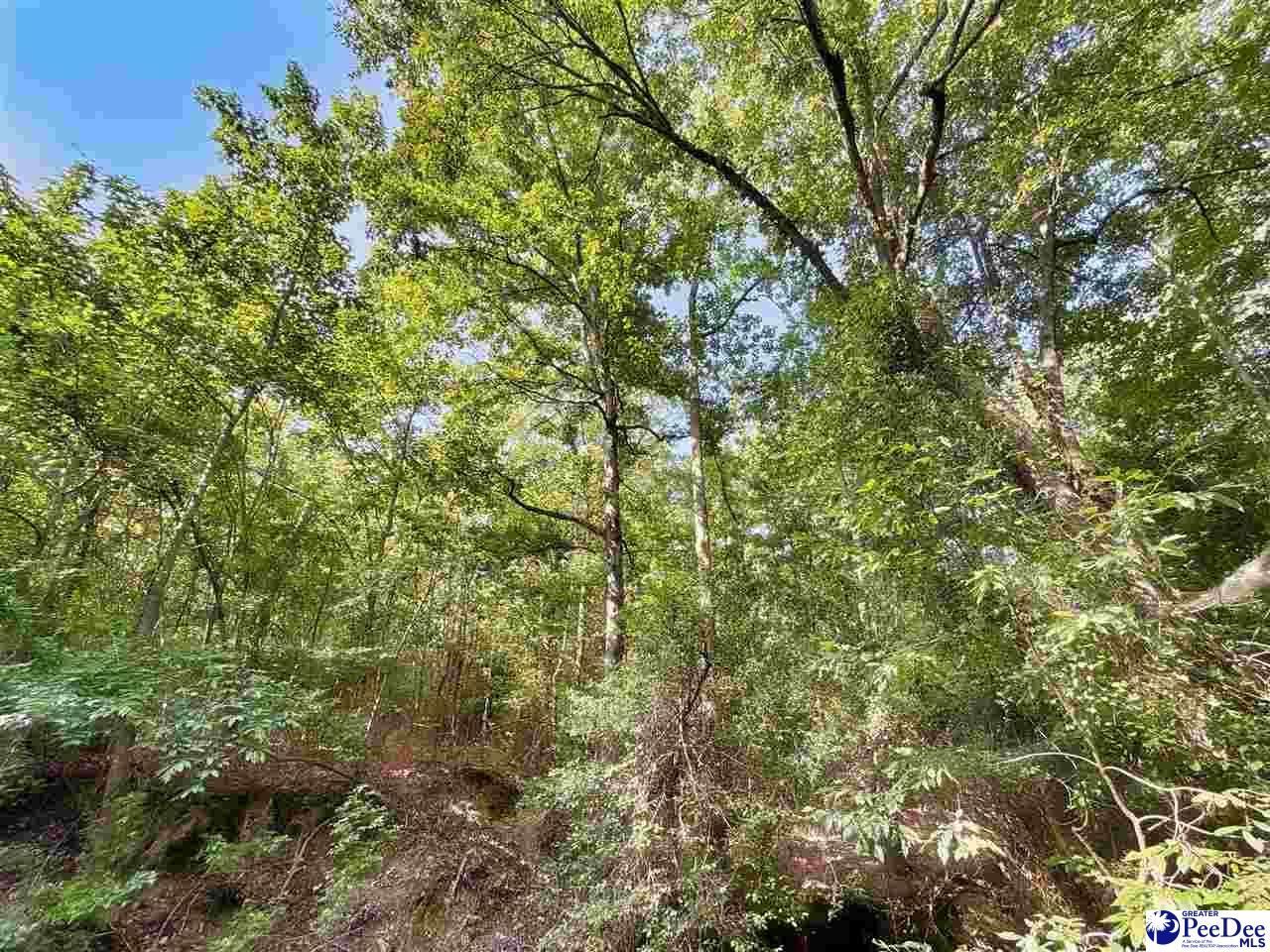 1020 Scotch Road Photo 18