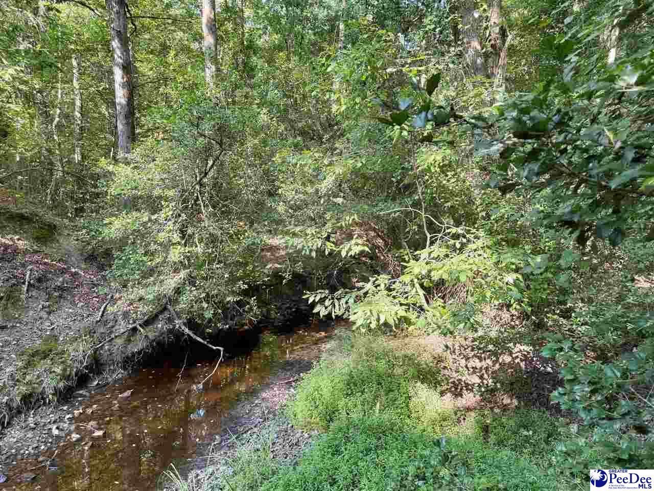 1020 Scotch Road Photo 2