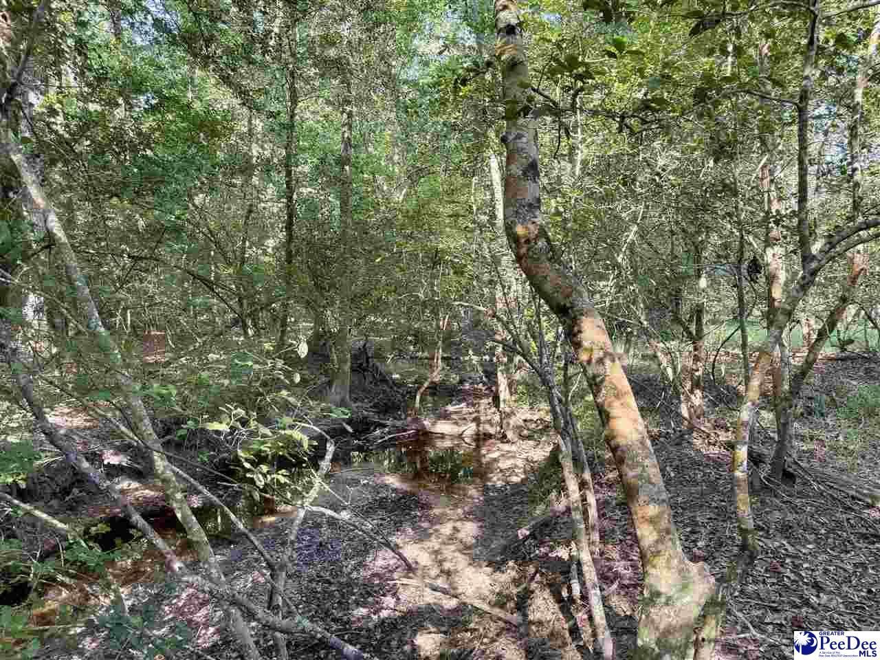1020 Scotch Road Photo 20