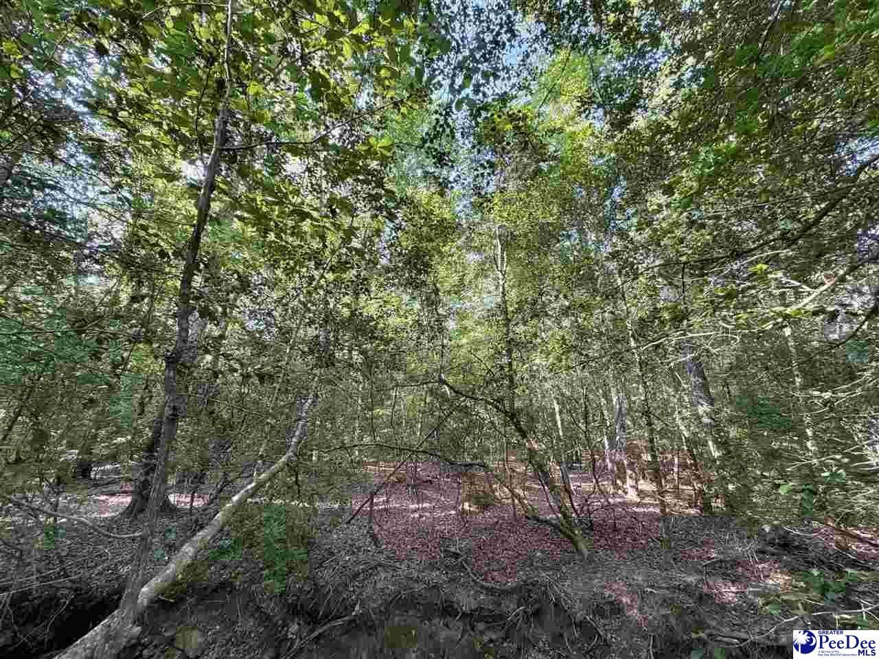 1020 Scotch Road Photo 21