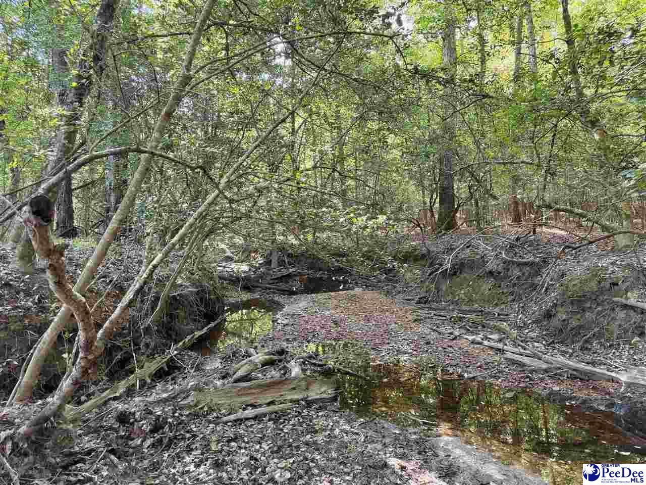 1020 Scotch Road Photo 22