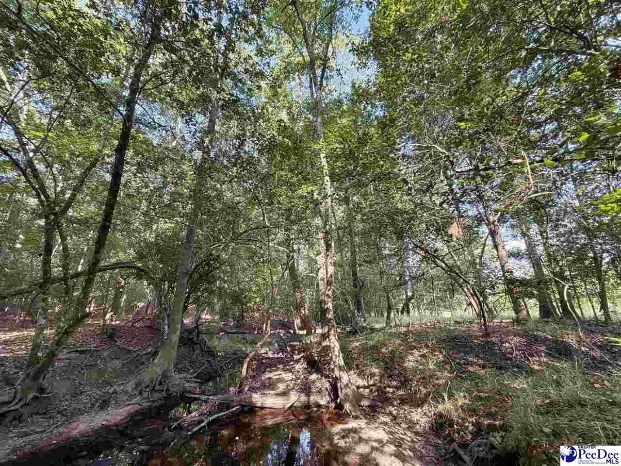 1020 Scotch Road Photo 23