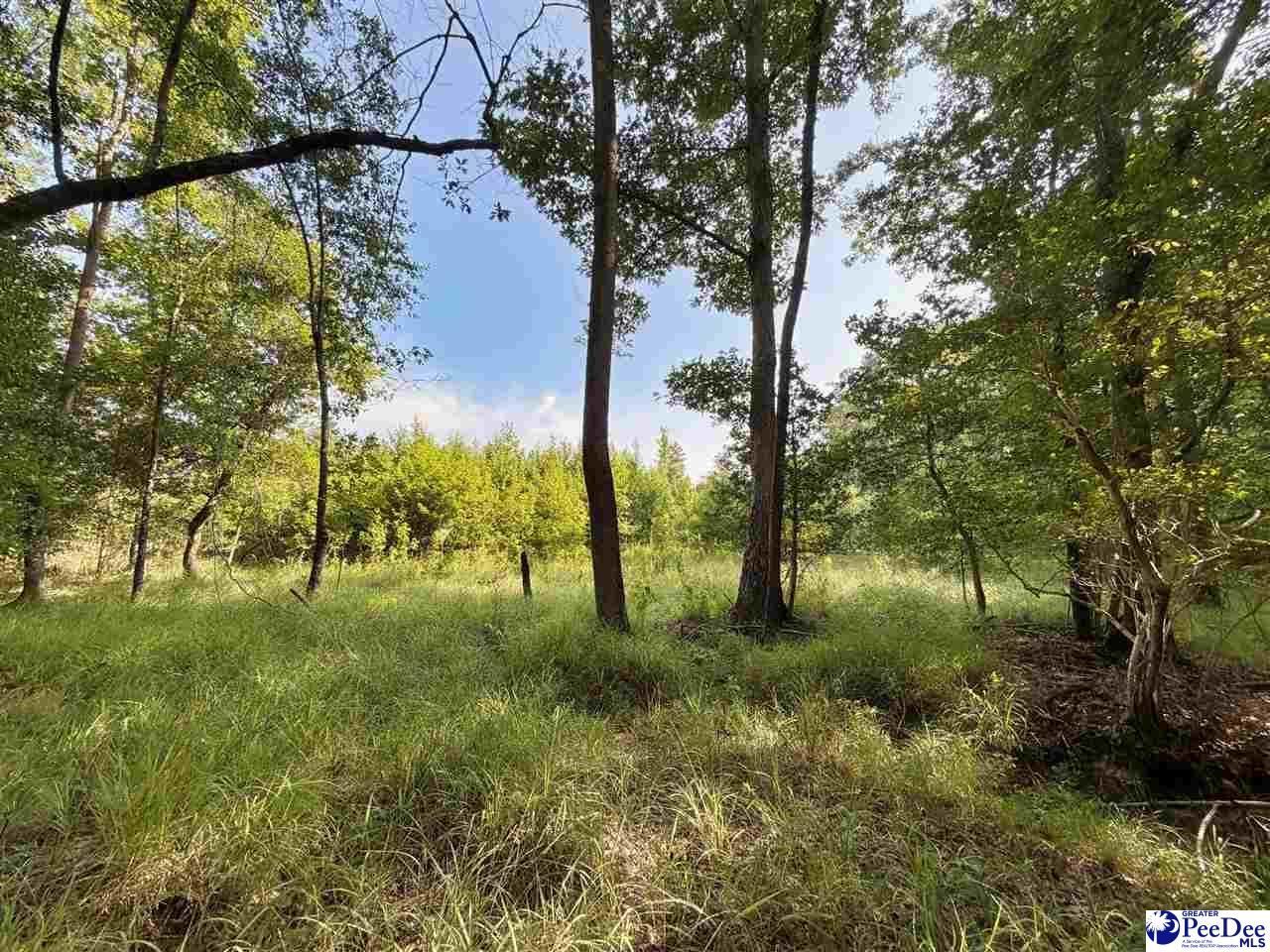 1020 Scotch Road Photo 24