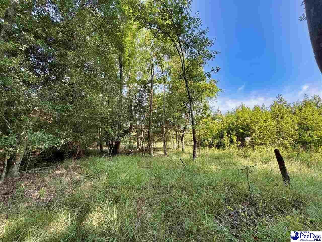 1020 Scotch Road Photo 25