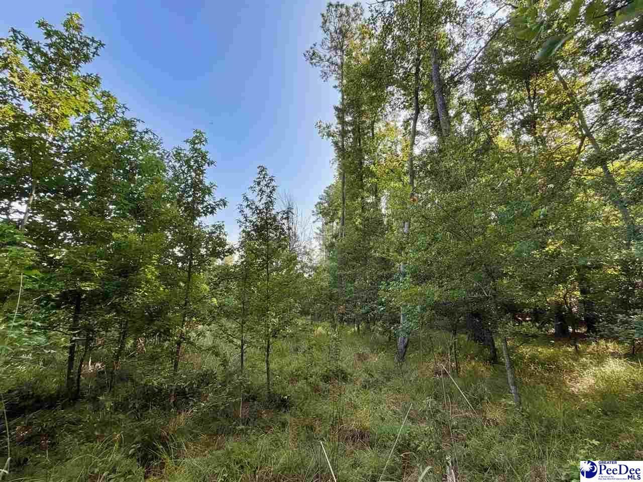 1020 Scotch Road Photo 26