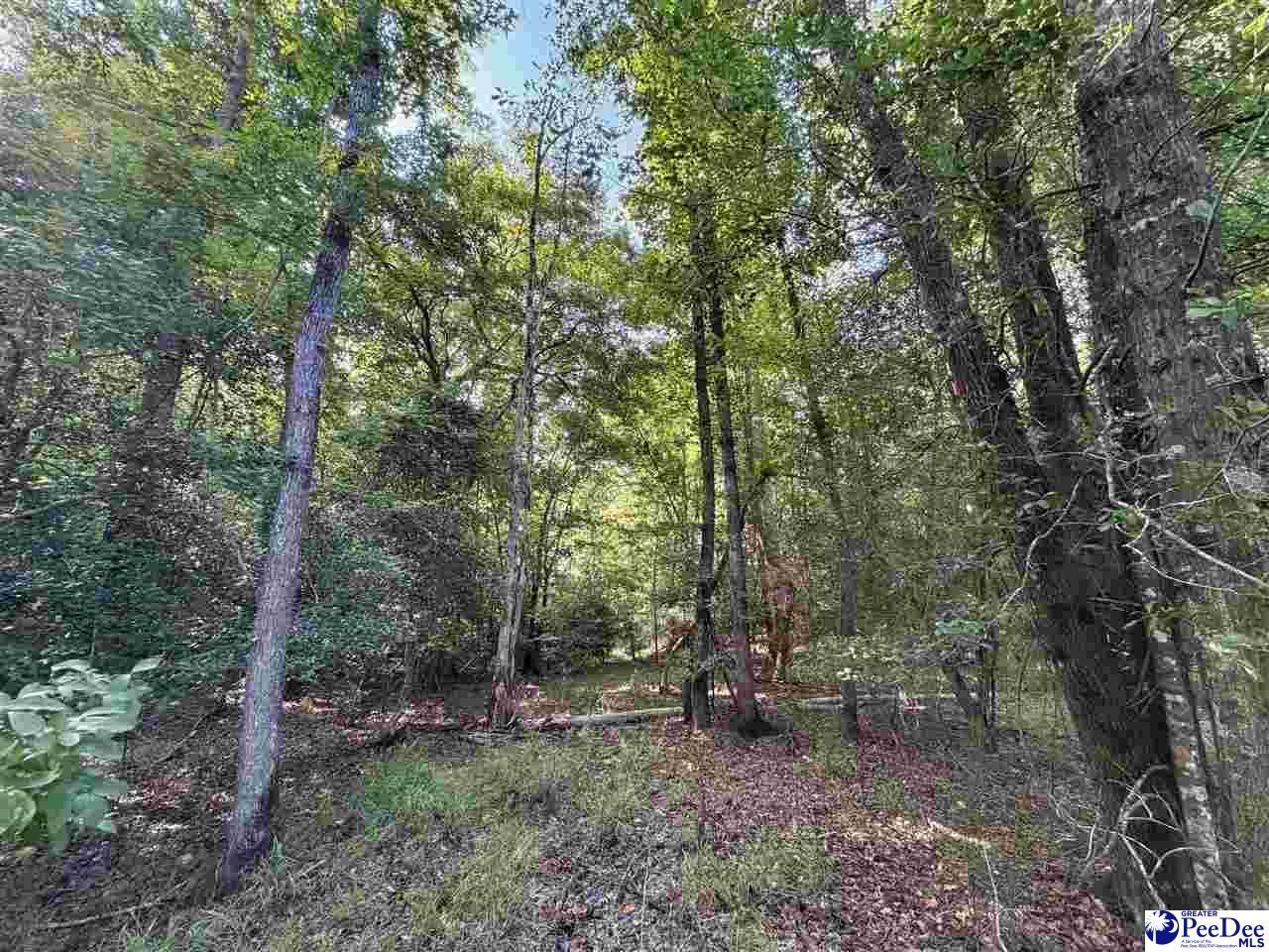 1020 Scotch Road Photo 27