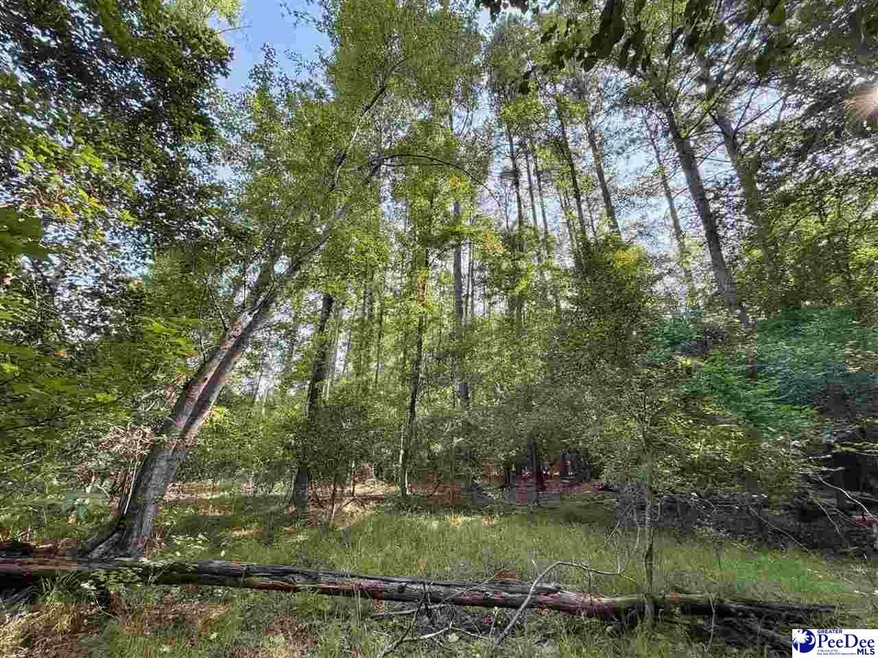 1020 Scotch Road Photo 28