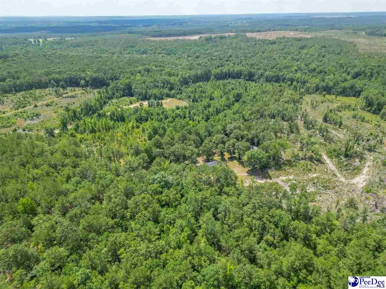1020 Scotch Road Photo 3
