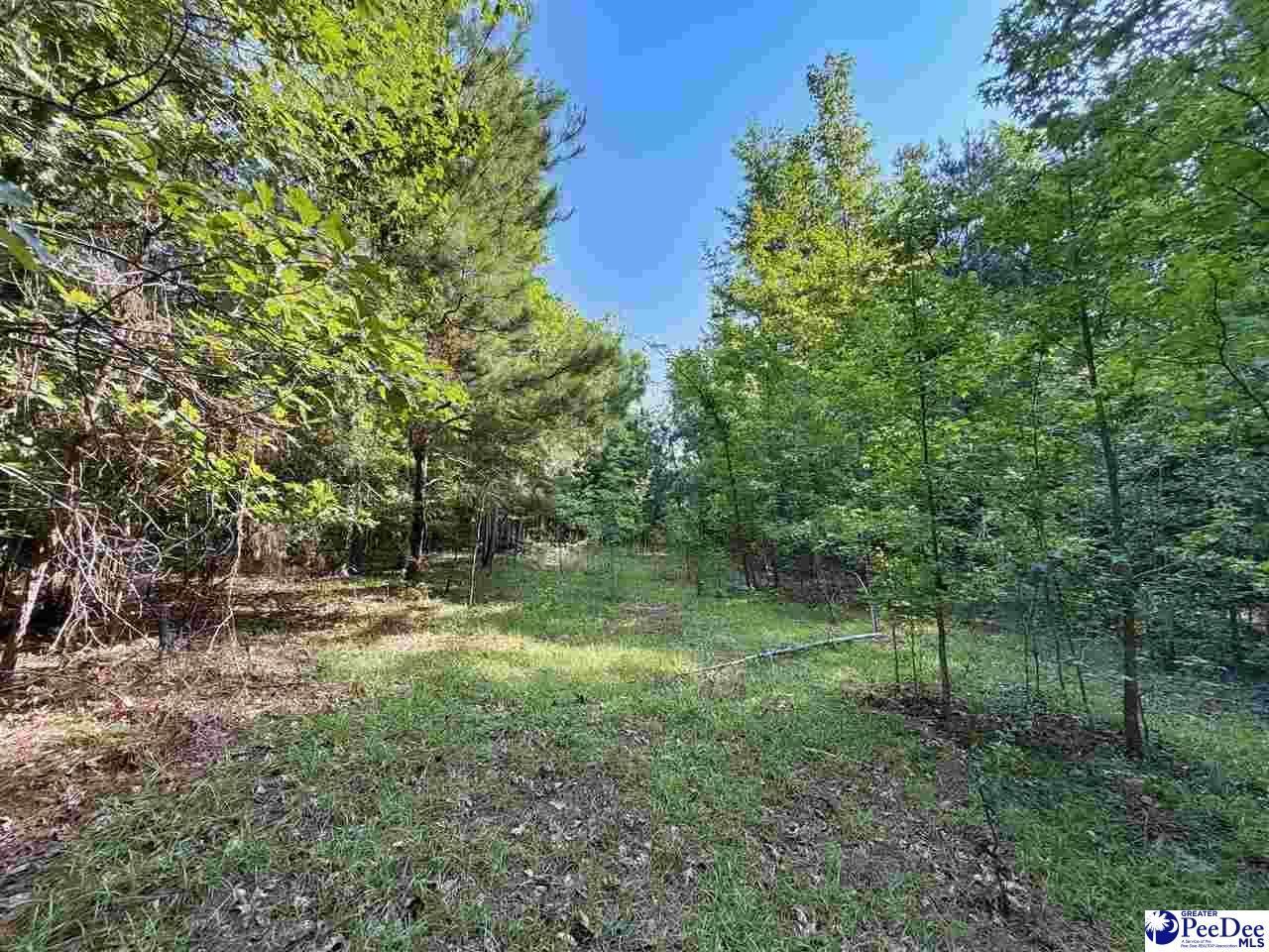 1020 Scotch Road Photo 30