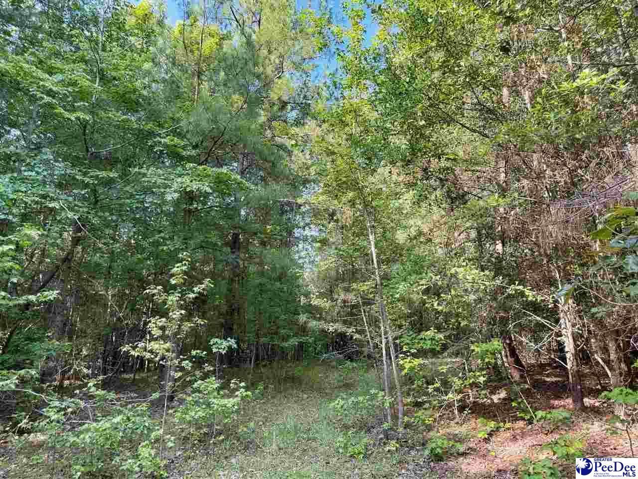 1020 Scotch Road Photo 31