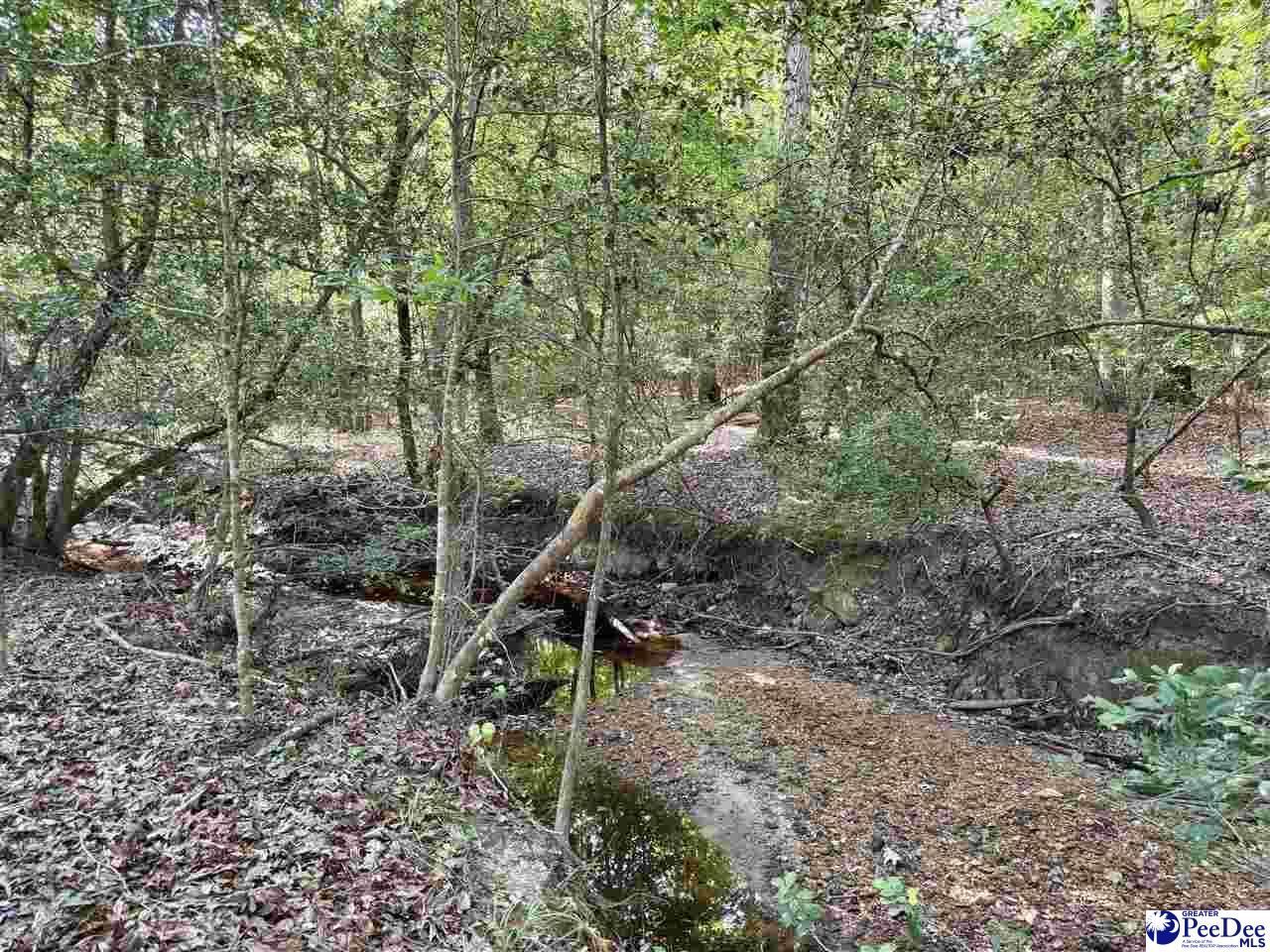 1020 Scotch Road Photo 32