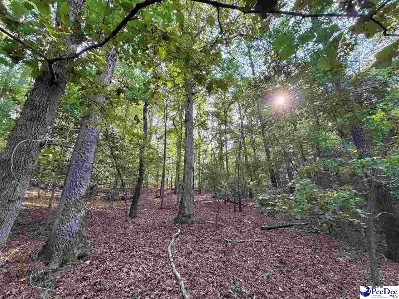 1020 Scotch Road Photo 33