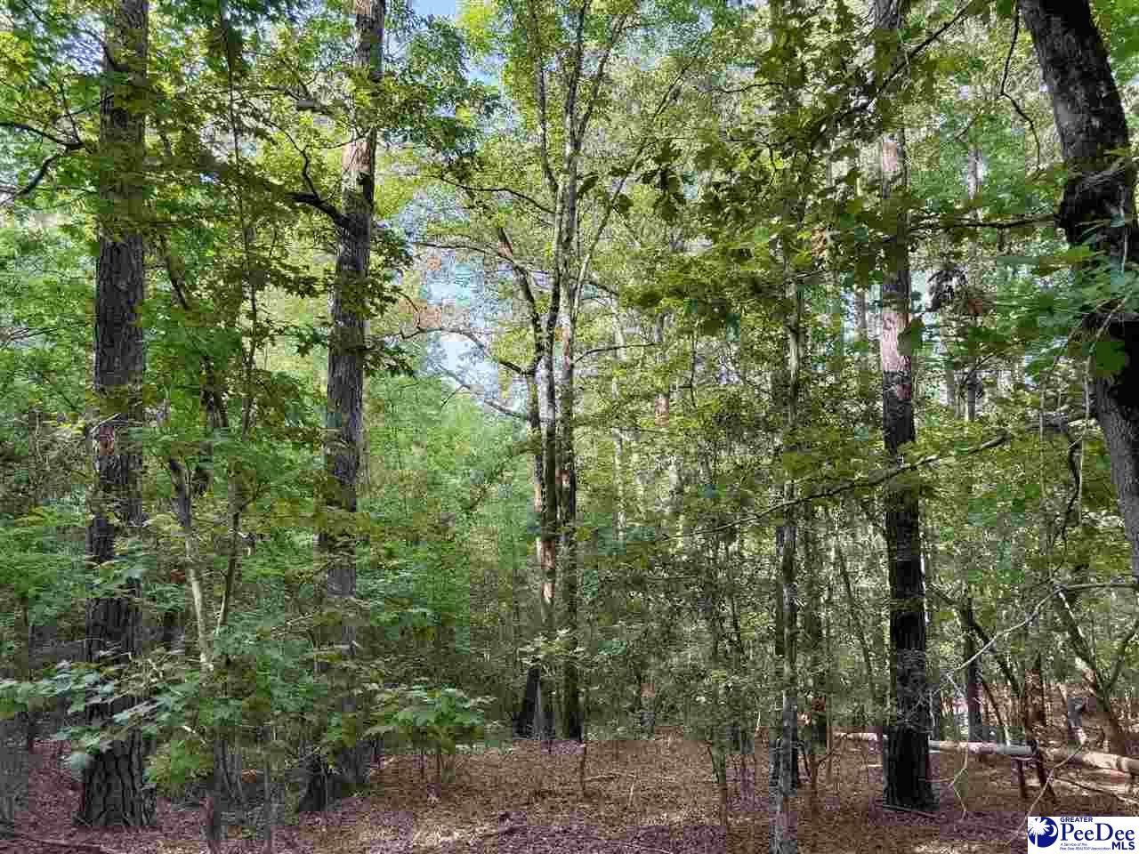 1020 Scotch Road Photo 34