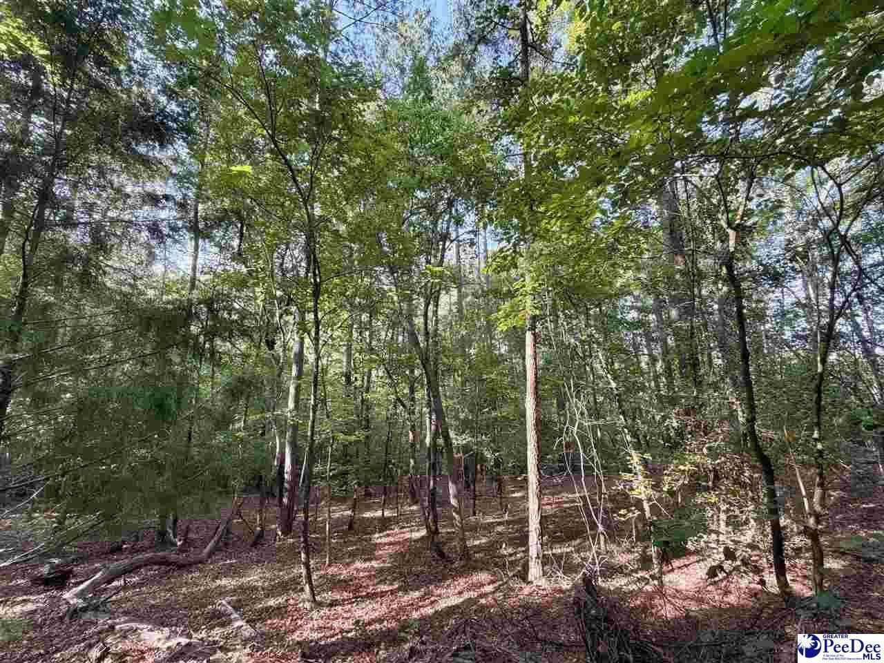 1020 Scotch Road Photo 35